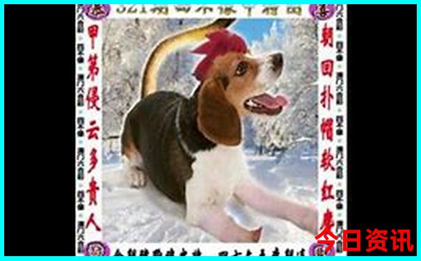 云南自驾游10天最佳方案